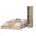 Двуспальная кровать с ящиками 1600 с пеналом Стандарт цвет дуб сонома фото 2