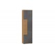 Шкаф одностворчатый глухая дверь Фиджи ЛД-659-300 цвет дуб золотой/антрацит